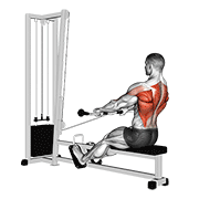 Cable Low Seated Row demonstration animation