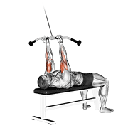 Cable Lying Close Grip Curl demonstration animation
