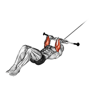 Cable Lying Triceps Extension V2 demonstration animation