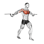 Cable Middle Fly demonstration animation