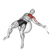 Cable One Arm Fly On Exercise Ball demonstration animation