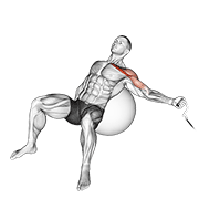 Cable One Arm Incline Fly On Exercise Ball demonstration animation
