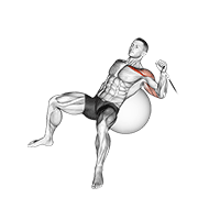 Cable One Arm Incline Press On Exercise Ball demonstration animation