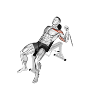 Cable One Arm Incline Press demonstration animation