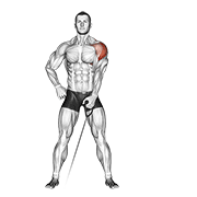 Cable One Arm Lateral Raise demonstration animation