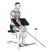 Cable One Arm Preacher Curl demonstration animation