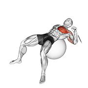 Cable One Arm Press On Exercise Ball demonstration animation