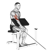 Cable One Arm Reverse Preacher Curl demonstration animation