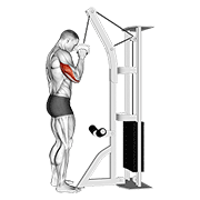 Cable One Arm Tricep Pushdown demonstration animation