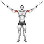 Cable Overhead Curl demonstration animation