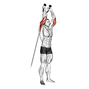 Cable Overhead Triceps Extension Rope Attachment demonstration animation