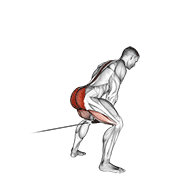 Cable Pull Through With Rope demonstration animation