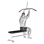 Cable Pulldown Bicep Curl demonstration animation