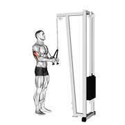 Cable Pushdown With Rope Attachment demonstration animation