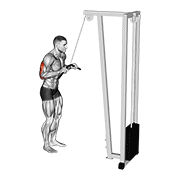 Cable Pushdown demonstration animation
