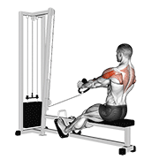 Cable Rear Delt Row Stirrups demonstration animation