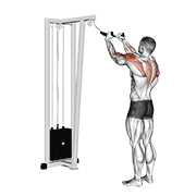 Cable Rear Delt Row With Rope demonstration animation