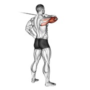 Cable Rear Drive demonstration animation