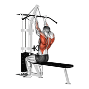 Cable Reverse Grip Straight Back Seated High Row demonstration animation