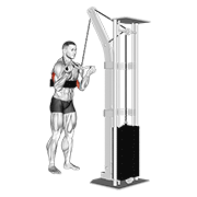Cable Reverse Grip Triceps Pushdown Sz Bar With Arm Blaster demonstration animation