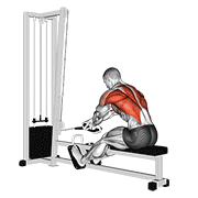 Cable Rope Crossover Seated Row demonstration animation