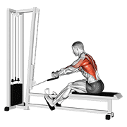Cable Rope Elevated Seated Row demonstration animation