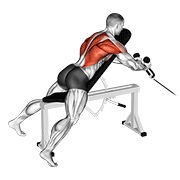 Cable Rope Extension Incline Bench Row demonstration animation