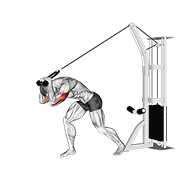 Cable Rope High Pulley Overhead Tricep Extension demonstration animation
