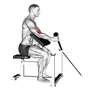 Cable Rope One Arm Hammer Preacher Curl demonstration animation