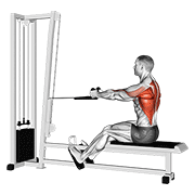 Cable Rope Seated Row demonstration animation