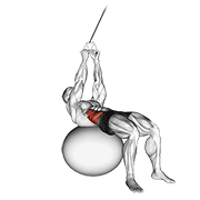 Cable Russian Twists On Stability Ball demonstration animation