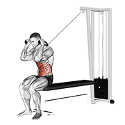 Cable Seated Crunch demonstration animation
