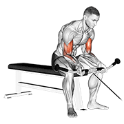 Cable Seated Curl demonstration animation