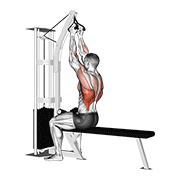 Cable Seated High Row V Bar demonstration animation