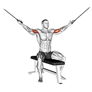 Cable Seated Overhead Curl demonstration animation