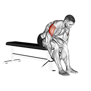 Cable Seated Rear Lateral Raise demonstration animation