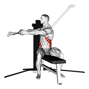 Cable Seated Twist demonstration animation