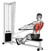 Cable Seated Wide Grip Row demonstration animation