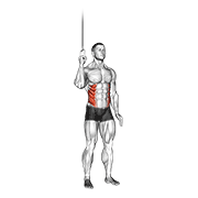 Cable Side Crunch demonstration animation