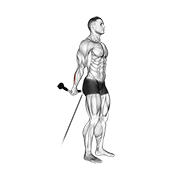 Cable Standing Back Wrist Curl demonstration animation