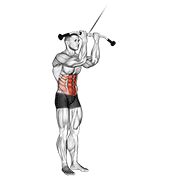 Cable Standing Crunch demonstration animation