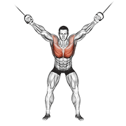 Cable Standing Fly demonstration animation