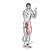 Cable Standing Hip Extension demonstration animation