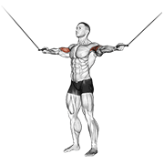Cable Standing Inner Curl demonstration animation