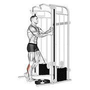 Cable Standing One Leg Calf Raise demonstration animation