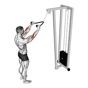Cable Standing Pulldown With Rope demonstration animation
