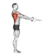 Cable Standing Row V Bar demonstration animation