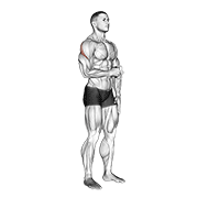 Cable Standing Shoulder External Rotation demonstration animation