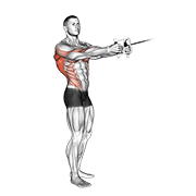 Cable Standing Twist Row V Bar demonstration animation