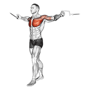 Cable Standing Up Straight Crossovers demonstration animation